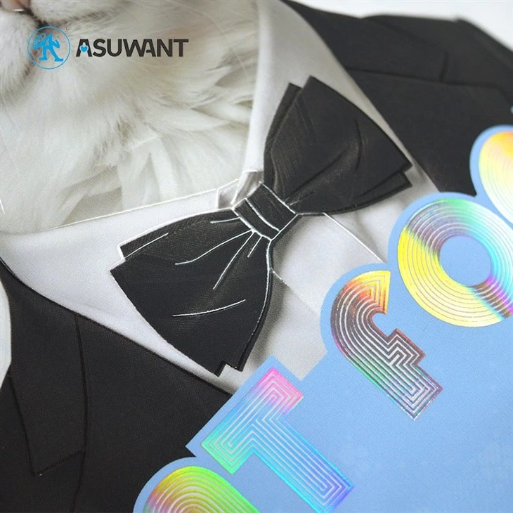 0 Plating Fee 3D Raised Embossed UV Texture Reverse Holographic Spot UV Surface Stand Up Pouches Zipper Packaging Bags factory